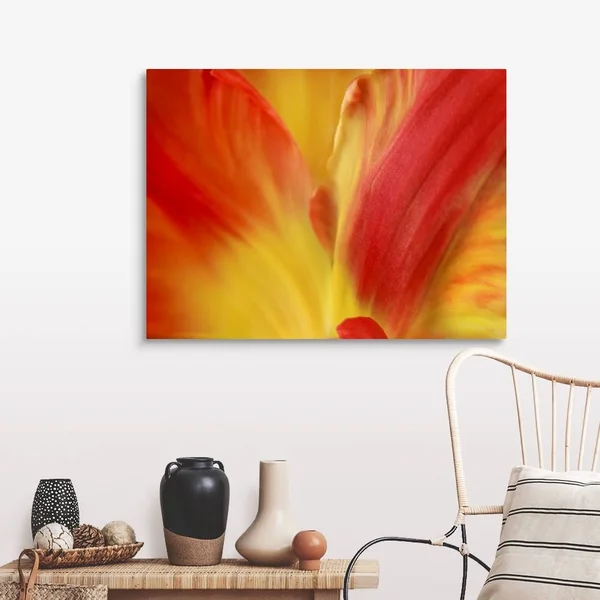 Tulipa, Canvas Wall Art, 40x30, Great Big Canvas
