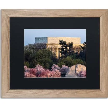 &Washington Spring Morning& by CATeyes Framed Photographic Print - Matte Color: Black, Size: 16x22 H x 20x22 W x 0.5x22 D, Trade