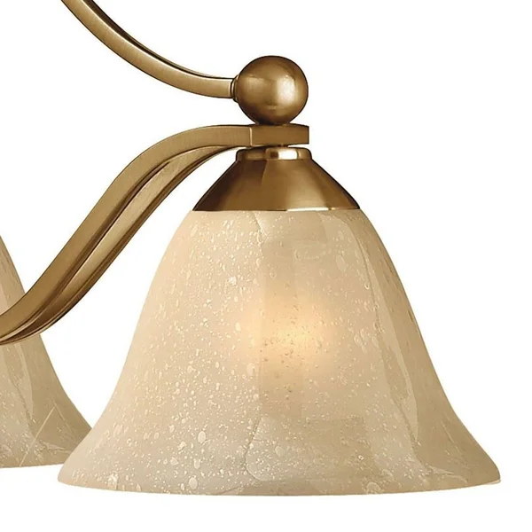 Hinkley Lighting 4653OB-CL Bolla Olde Bronze 3 Light Chandelier