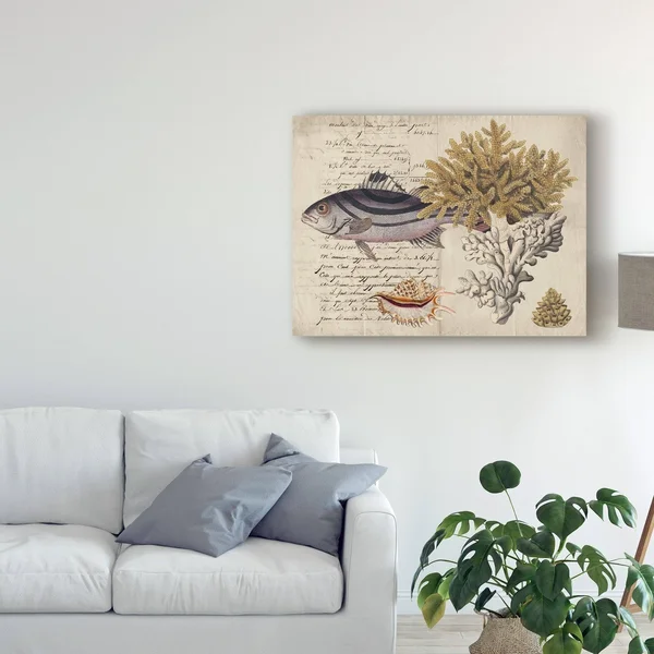 Trademark Fine Art 'Sea Life Journal III' Canvas Art by Vision Studio - Size: 35 x 47