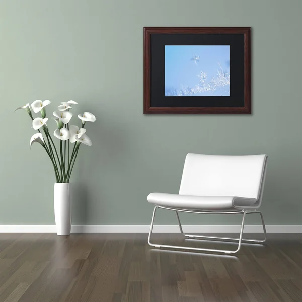 Trademark Fine Art Window Frost by Kurt Shaffer Framed Photographic Print - Size: 16x22 H x 20x22 W x 0.5x22 D