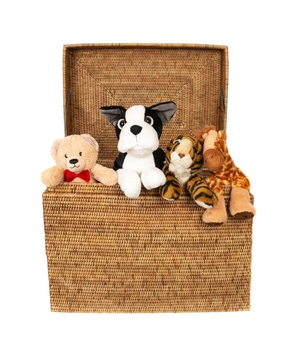 Artifacts Trading Rattan Medium Rectangular Hinged Trunk, Brown