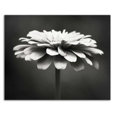 &Spellbinding& by Carolyn Cochrane - Wrapped Canvas Photograph Print Latitude Run Size: 18x22 H x 22x22 W x 1.5x22 D