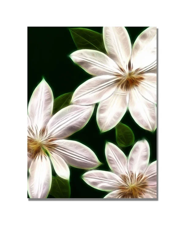 Trademark Global Kathie McCurdy 'White Clematis' Canvas Art