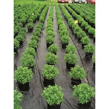 Dewitt Ultra Web 3000 Ground Cover Roll - 4&W x 600&L by Gempler&s