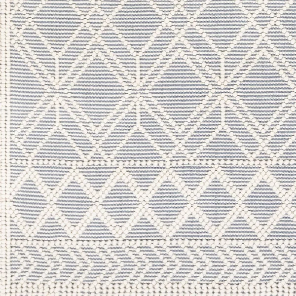 Surya Casa DeCampo CDC-2300 Area Rug 2&3x22 x 3&9x22