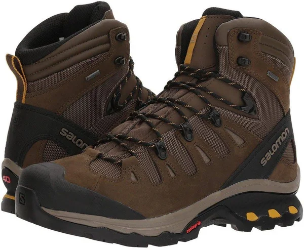 Salomon Men's Quest 4D 3 GTX 10.5