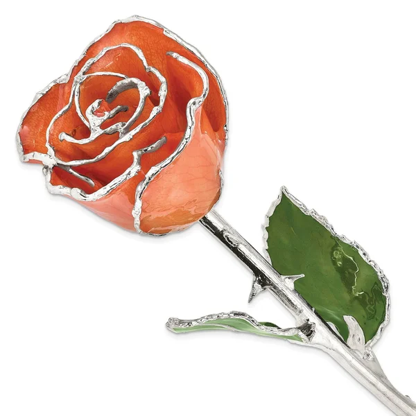 Lacquer Dipped Silver Trim Orange Rose