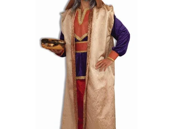 Forum Novelties Men's Deluxe Garnet Wise Man Costume, One Size