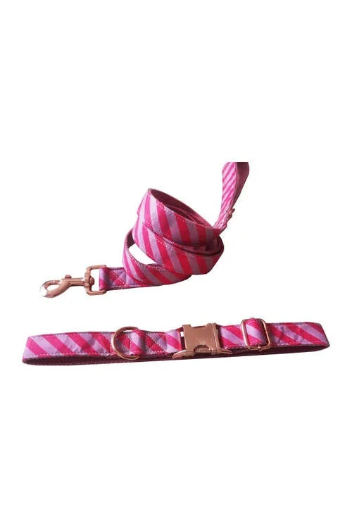 Dogs of Glamour Pink Chevron Collar & Leash Set - Medium - Pink/White at Nordstrom Rack