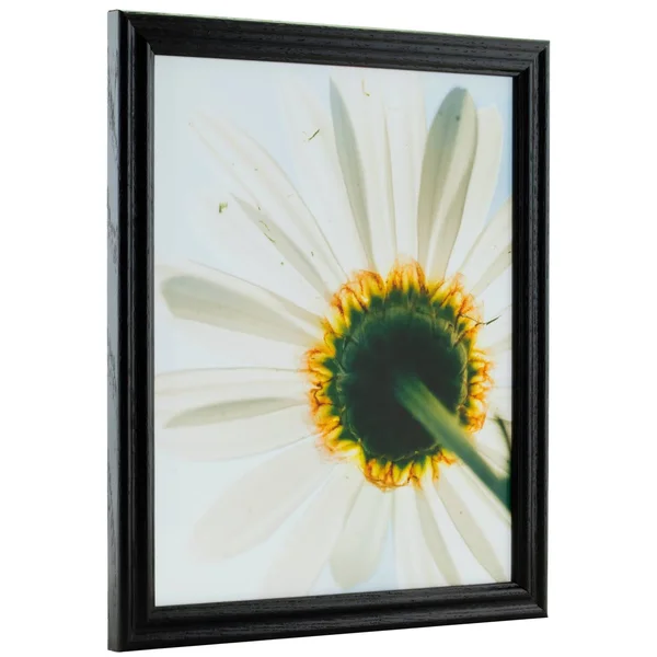 Craig Frames Wiltshire 200, Traditional Black Hardwood Picture Frame, 5 x 29 inch
