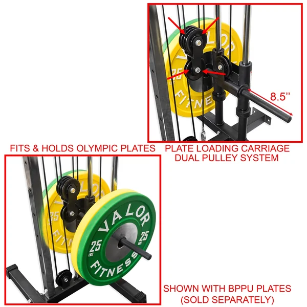 Valor Fitness BD 62 Wall Mount Cable Station