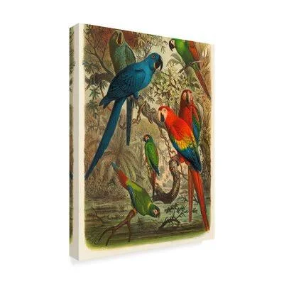 &Cassel Tropical Birds III& Graphic Art Print on Wrapped Canvas Bay Isle Home Size: 47x22 H x 35x22 W x 2x22 D