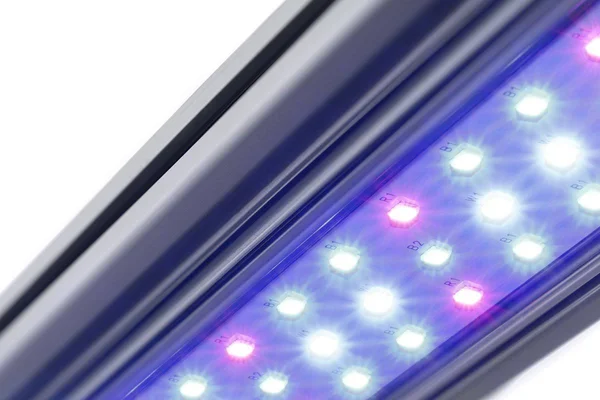 Kind LED x Series X40/X80 Bar Grow Light, 2 ft., Flower