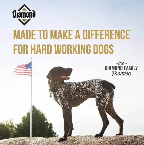 Diamond Performance Dog Food 40 lbs