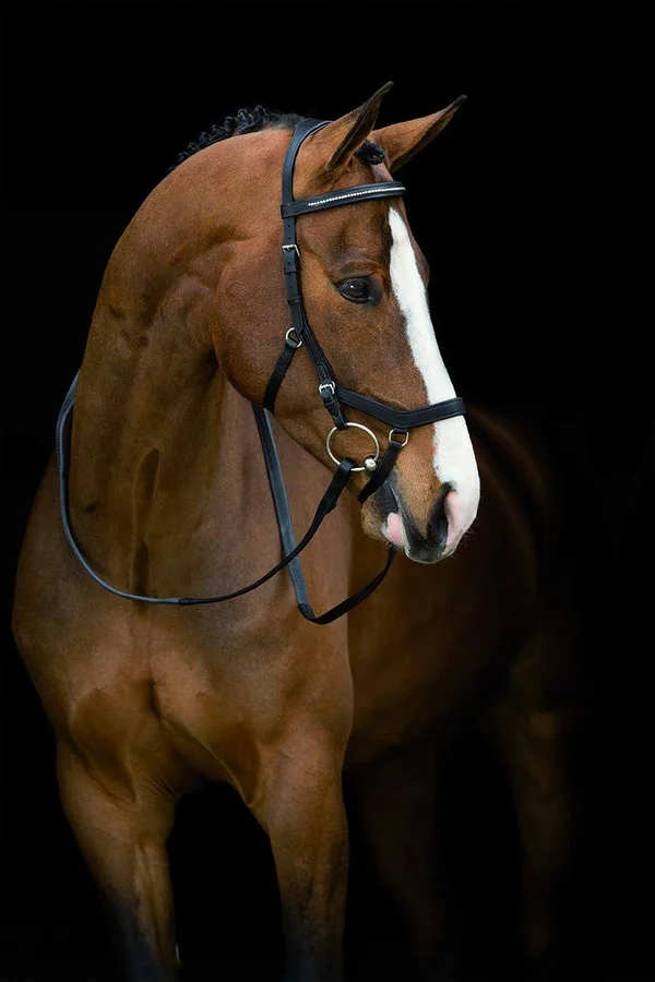 Rambo Micklem Diamante Competition Bridle - Black
