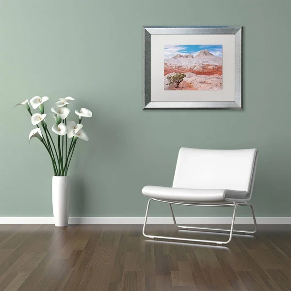 Trademark Fine Art Tree on Brain Rocks by Michael Blanchette Framed Photographic Print - Matte Color: White, Size: 16x22 H x 20x