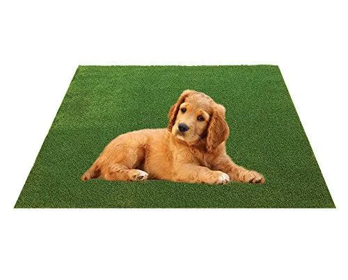 EnvyPet Green Premium Pet Turf Mat 3& x 4&