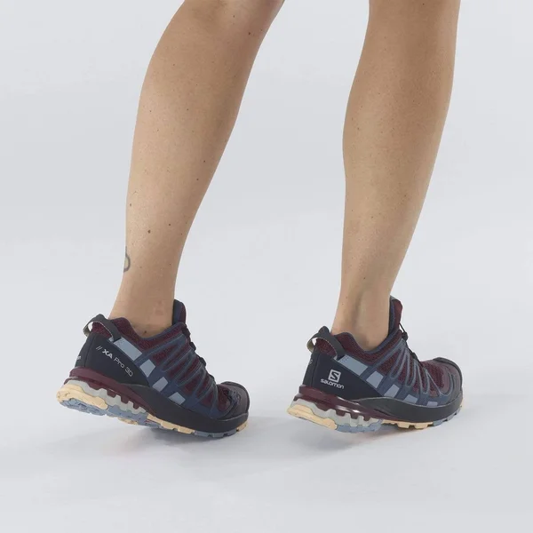 Salomon XA Pro 3D V8 6