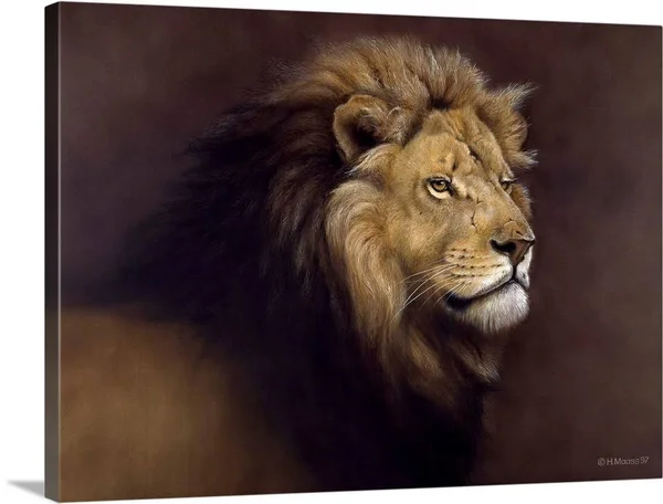 Lion Male, Canvas Wall Art, 24x18, Great Big Canvas