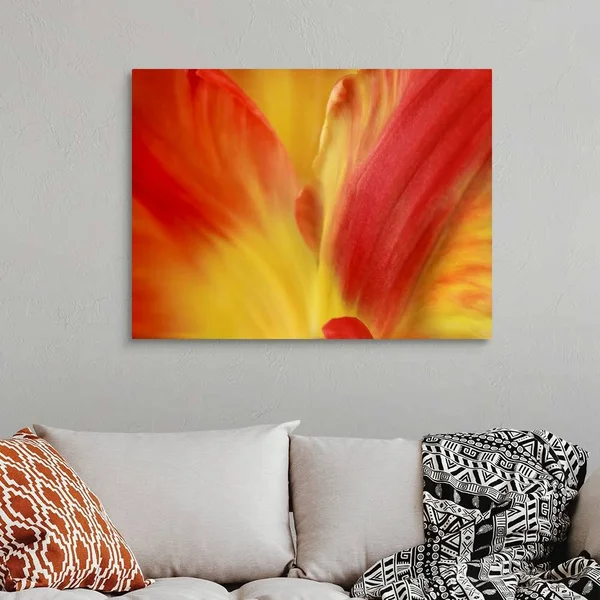 Tulipa, Canvas Wall Art, 40x30, Great Big Canvas