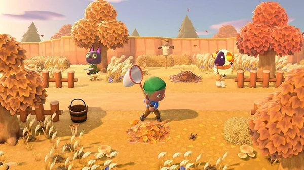 New Nintendo Switch Animal Crossing New Horizons Japan Official Import