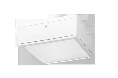 RAB Lighting 20W VANLED Cool LED Flat Lens White Canopy Light