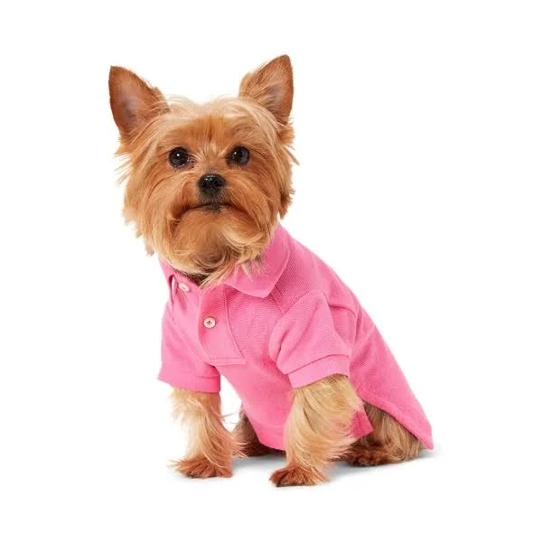 Ralph Lauren Big Pony Mesh Dog Polo Shirt - Size M in Baja Pink