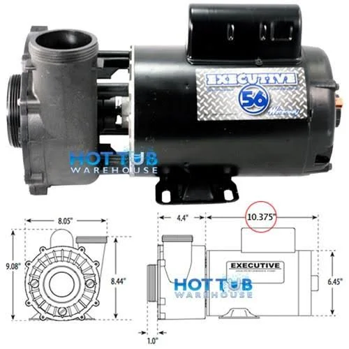 Waterway 3721621-13 4HP 230V 2-Speed 56 Frame Executive Pump