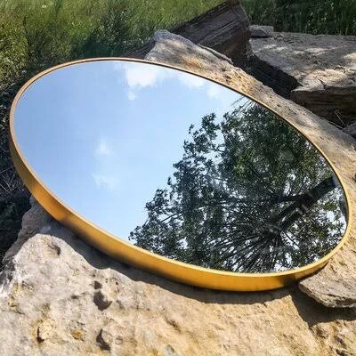 32x22 Wall Circle Mirror Large Round Black Farmhouse Circular Mirror Everly Quinn Finish: Golden
