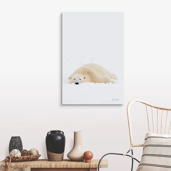 Polar Bear Cooling Off After Wrestling Match, Canvas Wall Art, 24x36, Great Big Canvas
