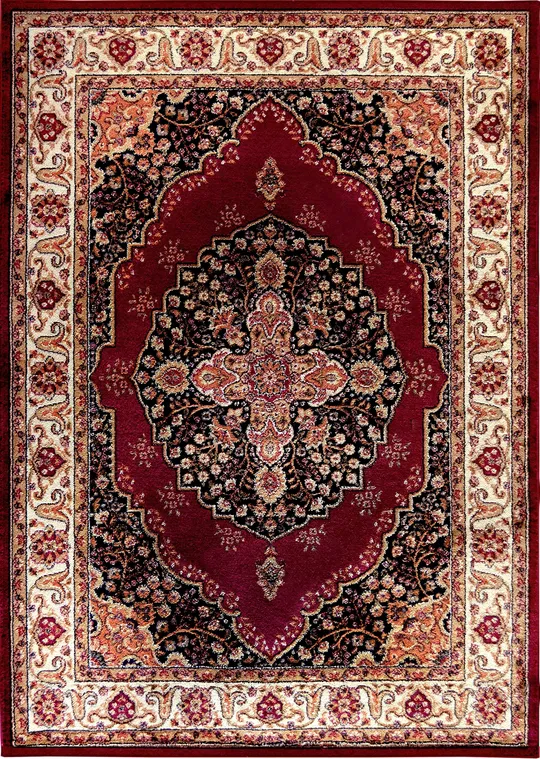Home Dynamix Royalty Area Rug- HD2319-215