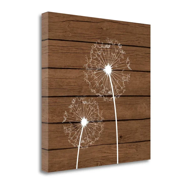 29x22 x 29x22 Brown Dandelion III Giclee Print on Gallery Wrap Canvas
