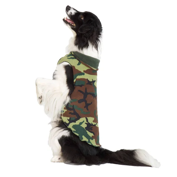 Gold Paw Double Fleece - Camo & Hunter, Size 10 DF10HAM