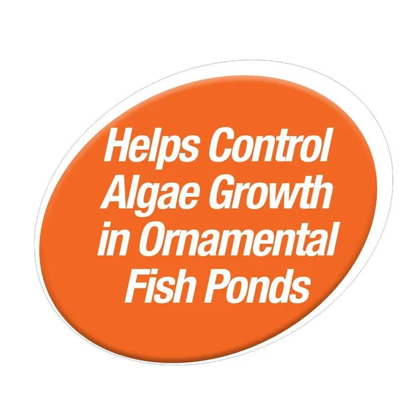 TetraPond Pond Block 50 Blocks Algae Control