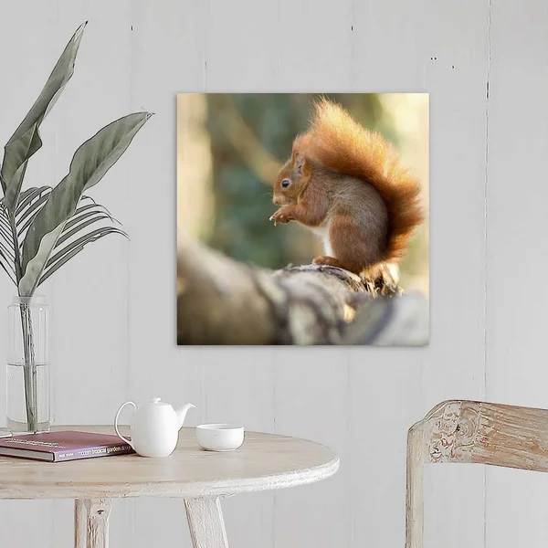 Solid-Faced Canvas Print Wall Art Print entitled Squirrel in Winter on Bark of Tree.