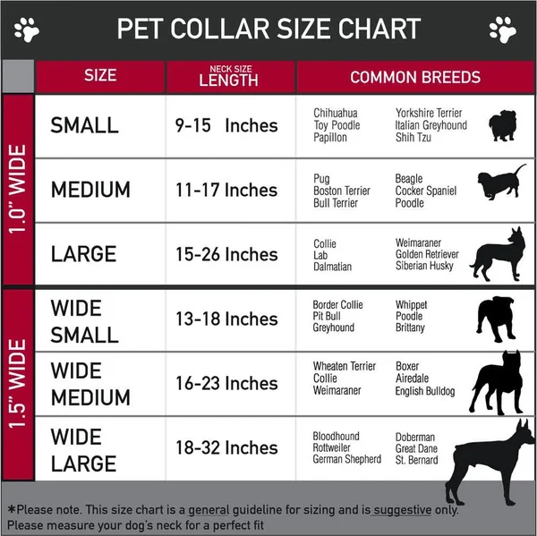Buckle-Down Seatbelt Buckle Dog Collar - Multi Marijuana Leaves Black/Multi Color
