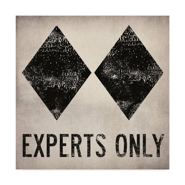 Trademark Fine Art 'Experts Only White' Canvas Art by Ryan Fowler - Black