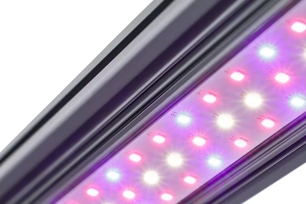 Kind LED x Series X40/X80 Bar Grow Light, 2 ft., Flower