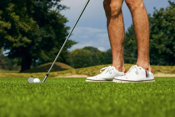 Royal Albartross The Saxon Spikeless Golf Shoes - White - Size: 9 M