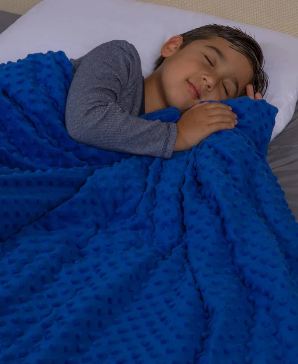 Swift Home Weighted Blanket with Removable Cover -7 lbs Blue