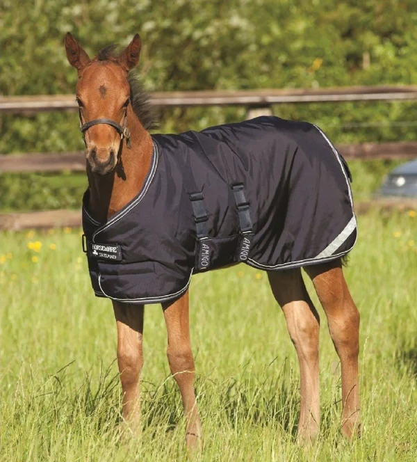 Amigo Foal Turnout Blanket