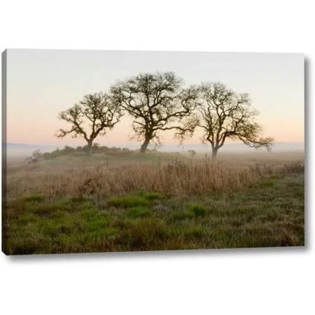 Winston Porter 'Oak Tree - 31' by Alan Blaustein Giclee Art Print on Wrapped Canvas - Size: 16 inch H x 24 inch W x 1.5 inch D, G
