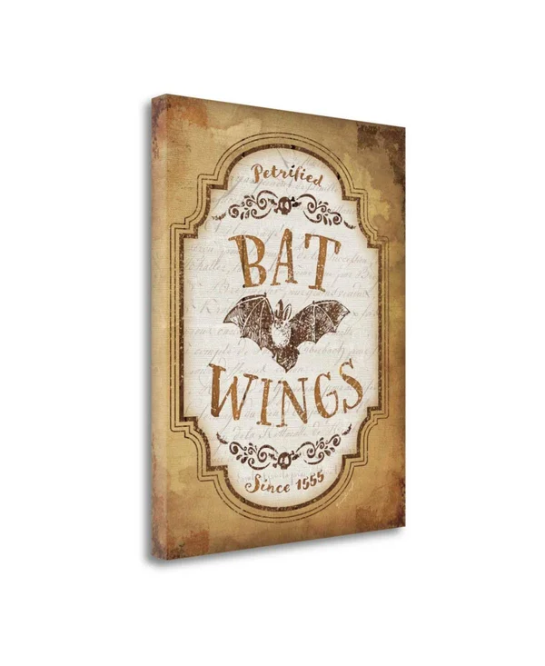 23x22 x 18x22 Bat Wings by Jennifer Pugh Fine Art Giclee Print