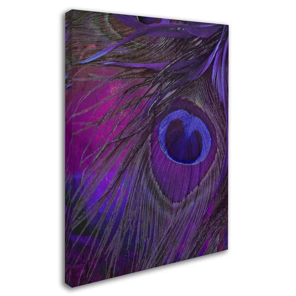 Trademark Fine Art Peacock Candy IV Canvas Art by Color Bakery - Assorted