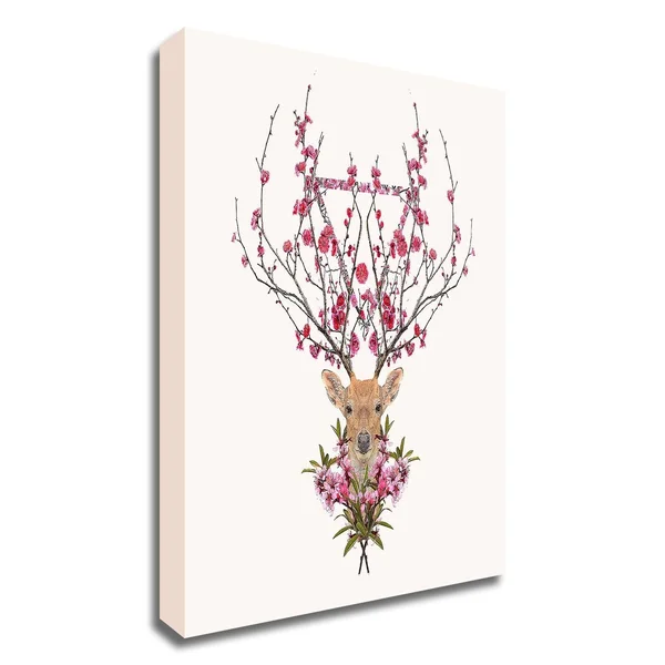 18x22 x 18x22 Spring Deer by Robert Farkas Print on Canvas