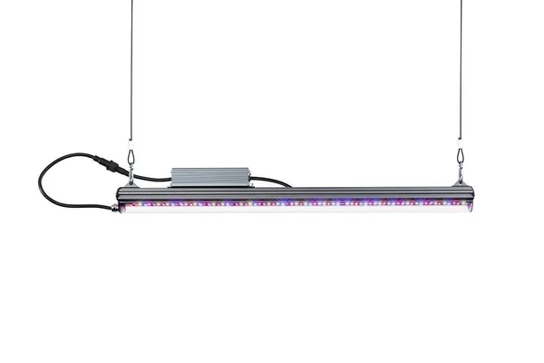 Kind LED x Series X40/X80 Bar Grow Light, 2 ft., Flower