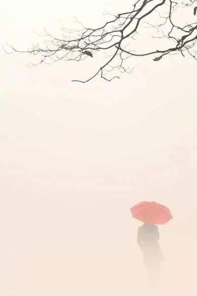 Nicholas Bell Photography Large 3-Piece Canvas Print - in Autumn Fog ( scenic & landscapes > Sky > Weather > Rai