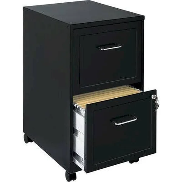 Ebern Designs Carson 18x22 2-Drawer Mobile File Cabinet Finish: Black