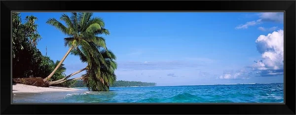 Palm Trees on The Beach - Indonesia, Black Framed Wall Art, 36x12, Great Big Canvas